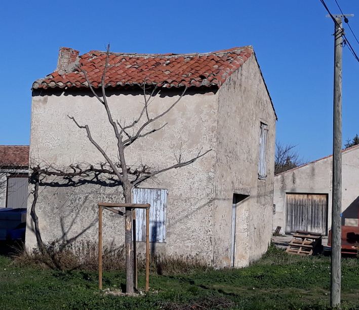 Cabanon avant restauration.