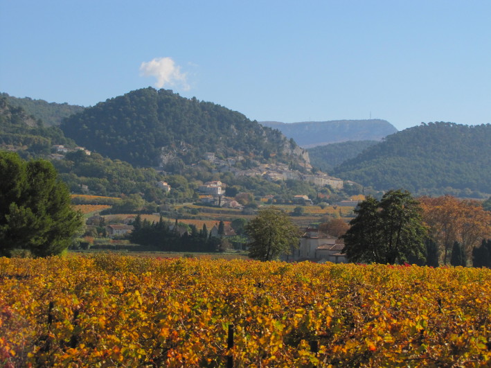 Seguret-Vignoble.